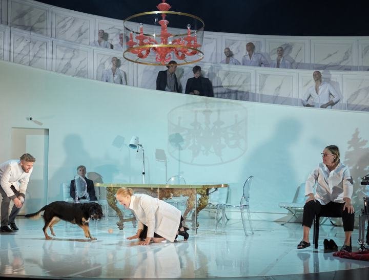 Heart of a Dog, production photo 5